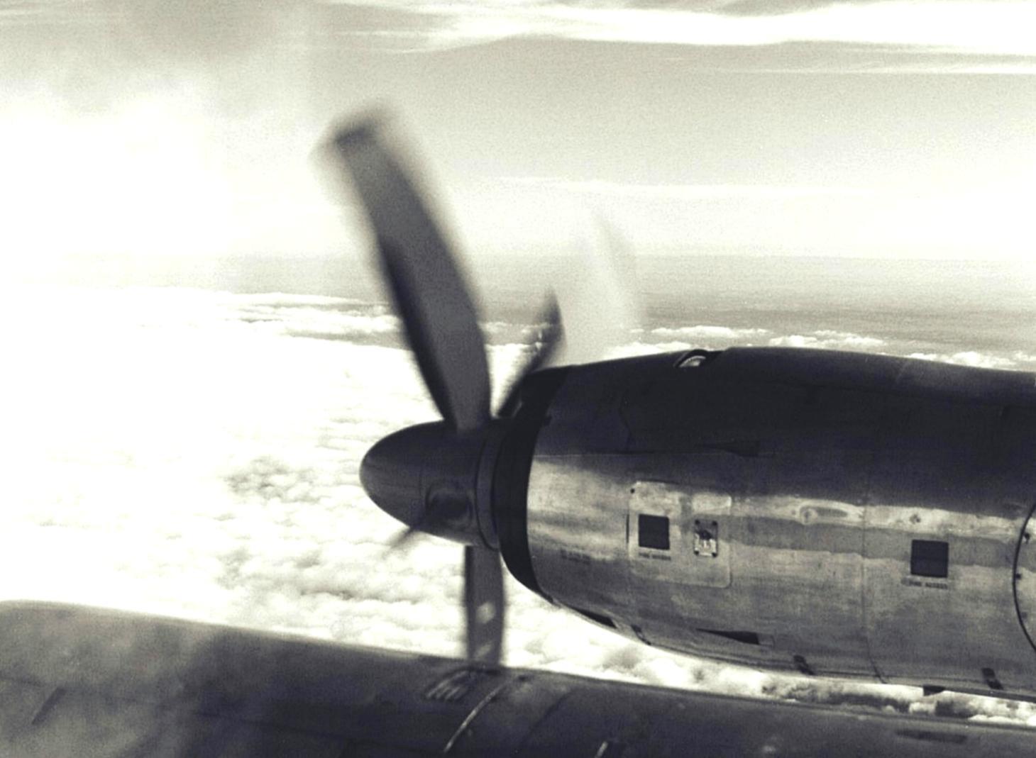 Студенты изучают планирование свадебных церемоний